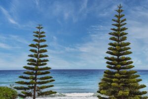 market gardening definition ap human geography