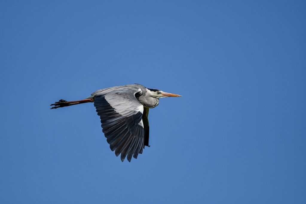 grs uine28.6 error codes