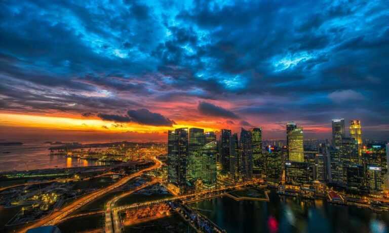 what are higossis brush made of