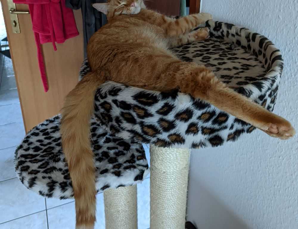 kevin olguin instagram