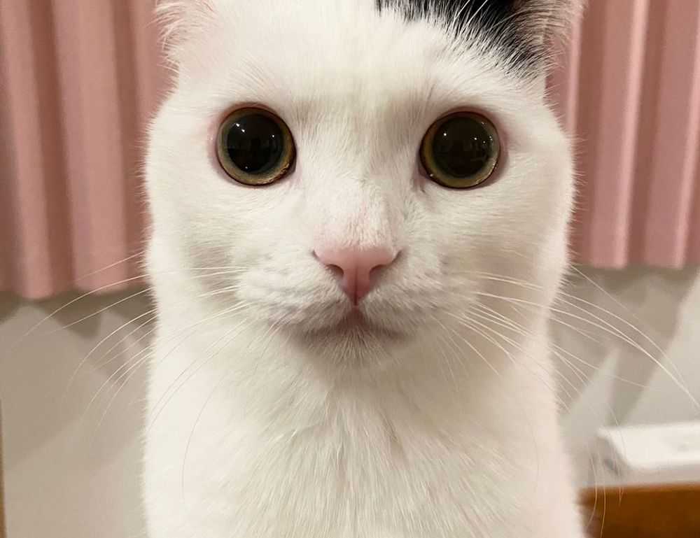 tatuagem coração com nome dos filhos