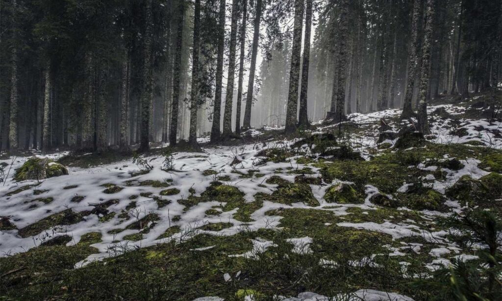 yina calderon only fans