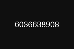 6036638908