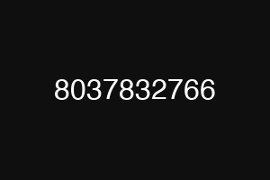 8037832766