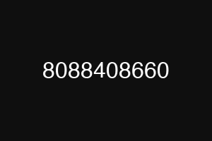 8088408660