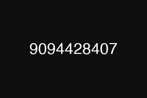 9094428407
