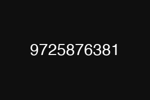 9725876381