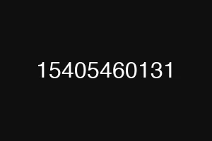 15405460131