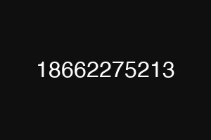 18662275213