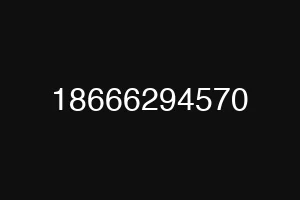 18666294570