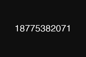 18775382071