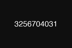 3256704031