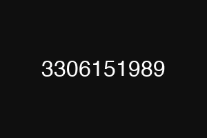 3306151989