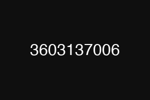3603137006