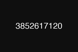 3852617120