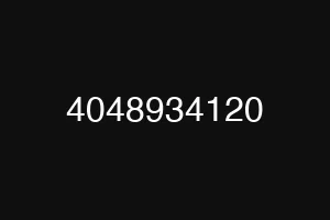 4048934120