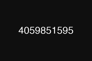 4059851595