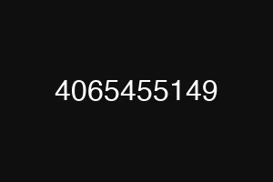 4065455149