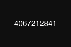 4067212841
