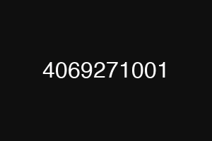 4069271001
