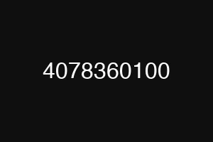 4078360100