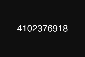 4102376918