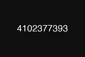 4102377393