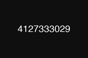 4127333029