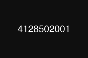 4128502001