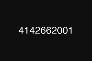 4142662001