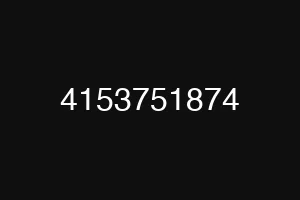 4153751874