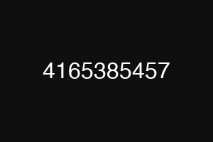 4165385457
