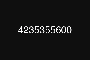 4235355600