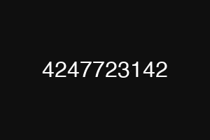 4247723142
