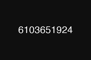 6103651924