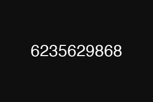 6235629868